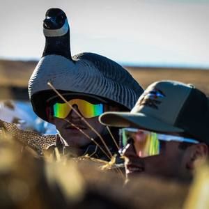 Meet your Posher, Justice